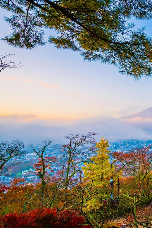 Fuji/Hakone Private Tour, English speaking guide, Photograph - Oshino Hakkai ponds: Fuji reflections you can slow down for
