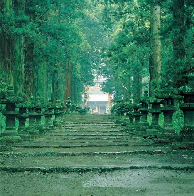 Fuji/Hakone Private Tour, English speaking guide, Photograph - Mt. Fuji 5th Station plus Chureito Pagoda: your best bet for that iconic frame