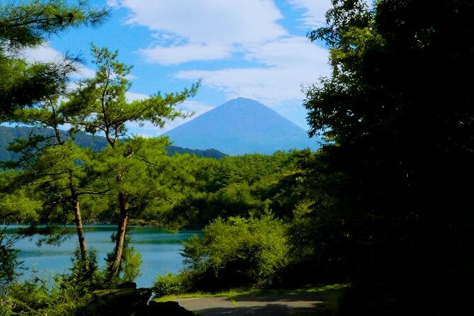 Fuji Photo Tour - Getting to Forest Mall Fujikawaguchiko and Starting Smoothly