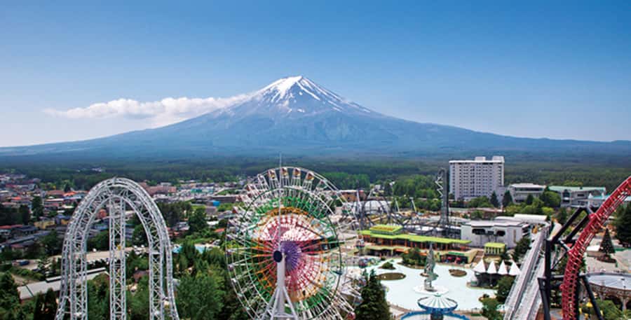 Fuji-Q Highland Amusement Park: 1 Day private tour by Car - Price and value: is $81 per person a smart deal?