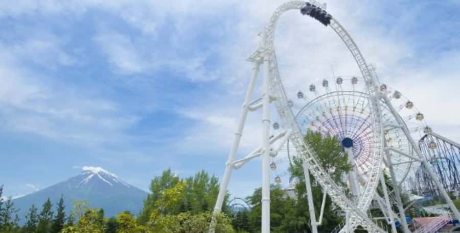 Fuji-Q Highland Amusement Park: 1 Day private tour by Car - Who should skip this tour (and who should go)