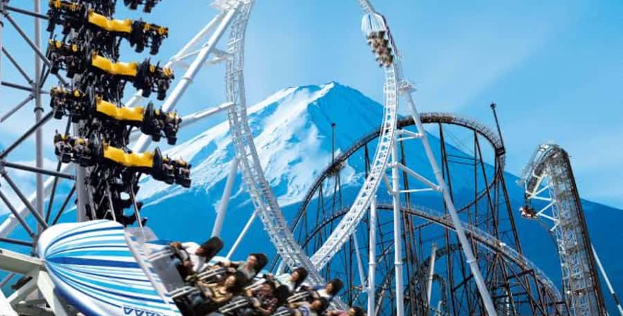 Fuji-Q Highland Amusement Park: 1 Day private tour by Car - The coaster lineup: what you really came for