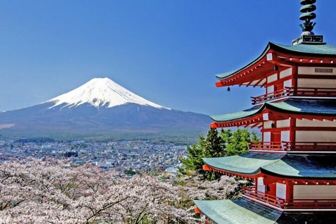 Fuji Speedway Self Drive & Mt. Fuji Private Tour pickup & dropoff - Key points to know before you go