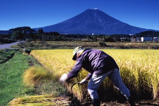 Fuji Speedway Self Drive & Mt. Fuji Private Tour pickup & dropoff - Price and value: what you’re really paying for