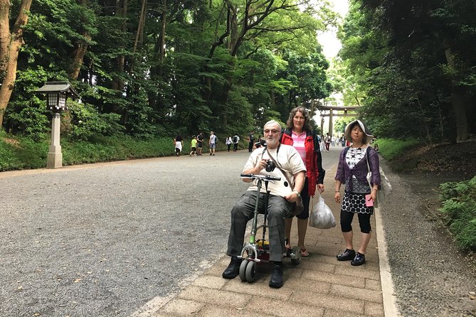 Full-Day Accessible Tour of Tokyo for Wheelchair Users - Stop 4: Sumida Park and Tokyo Skytree views