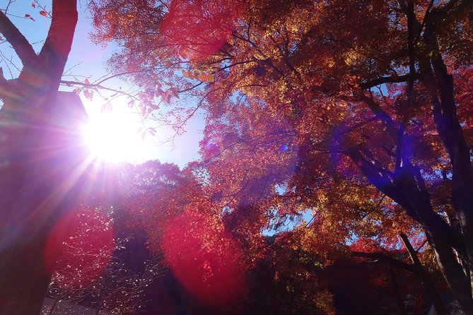 Full Day Hiking Tour at Mt.Takao including Hot Spring - Stop 1: Mt. Takao—The Mountain With an Actual Spotlight
