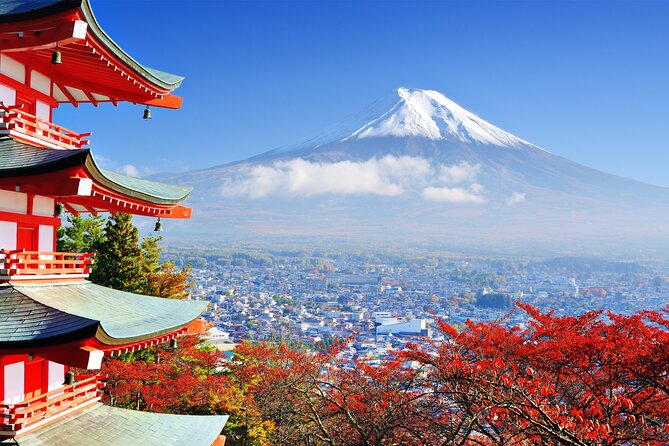 Full Day Private Tour in Mt. Fuji and Hakone - Lake Ashinoko: Hakone calm, plus a cruise add-on