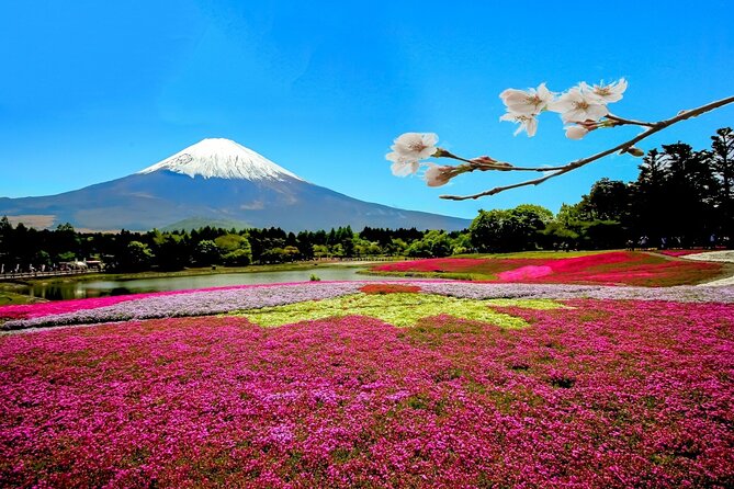 Full Day Private Tour in Mt. Fuji and Hakone - Oishi Park views: the Mt. Fuji moment you’re trying to buy