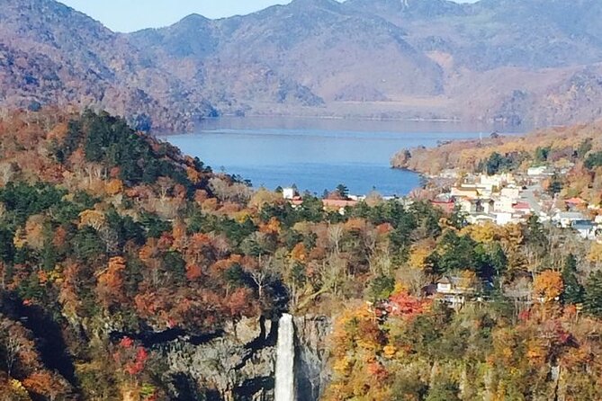 Full Day Private tour & sightseeing to Nikko(Eng speaking Driver) - Price and value: what $439.41 means for your group