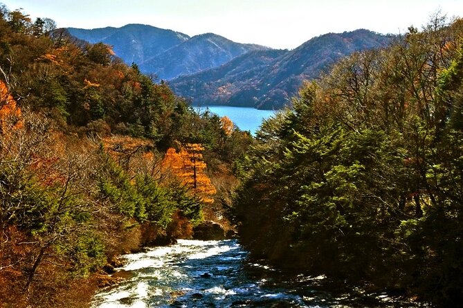 Full Day Private tour & sightseeing to Nikko(Eng speaking Driver) - Stop 2: Nikko Tosho-gu and the Tokugawa Ieyasu shrine