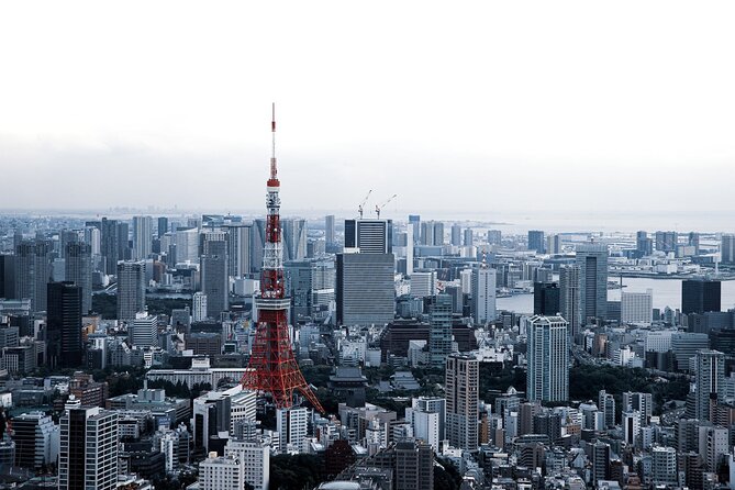 Full-Day Private Tour to Discover The Best of Tokyo - Akihabara’s tech-and-pop-culture energy