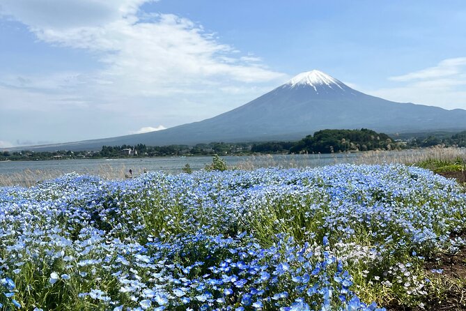 Full Day Private Tour to Mount Fuji and Hakone - Private Full-Day Fuji and Hakone: What You’re Really Paying For