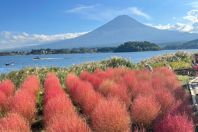 Full Day Private Tour to Mount Fuji and Hakone - Mount Fuji Stops: 5th Station and the Arakurayama Staircase Views