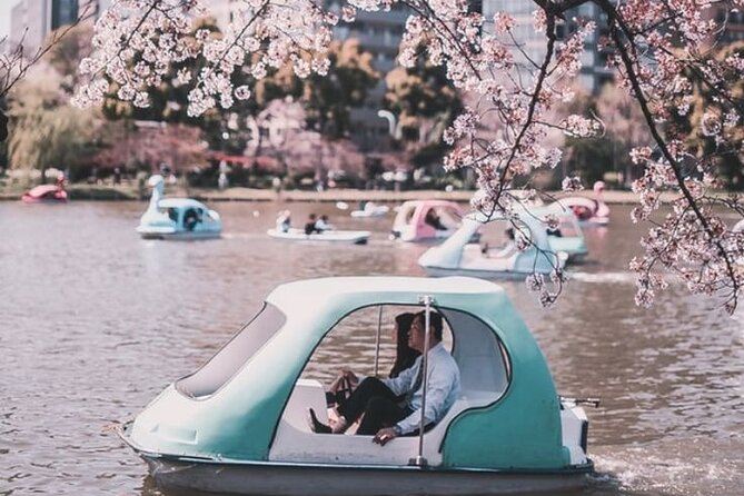 Full day Tokyo private experience with English Speaking Driver - How a 9.5-Hour Private Day Keeps Tokyo From Overwhelming You