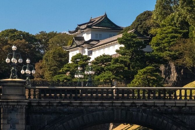 Full day Tokyo private experience with English Speaking Driver - Ueno Park and the Imperial Palace Moat: Culture, Quiet, and Big-Place Energy