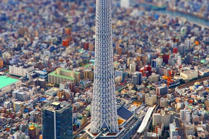 Full day Tokyo private experience with English Speaking Driver - Shibuya Crossing to Meiji Jingu: People-Watching Then a Reset in the Woods