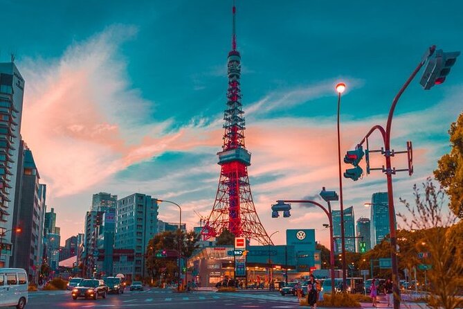Full day Tokyo private experience with English Speaking Driver - Shinjuku Gyoen Garden and Senso-ji: Finale With Beauty and a Classic Temple Landmark