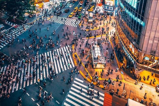 Full day Tokyo private experience with English Speaking Driver - Driver vs Tour Guide Upgrade: How You Get the Most Value Out of English