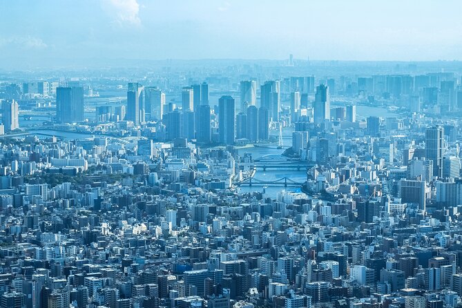 Full Day Tokyo Private Tour by Luxury Vehicle - Tsukiji Outer Market: Street Food Without the Old Inner-Wharf Scene