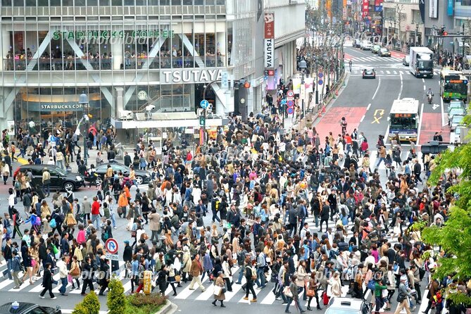 Full Day Tokyo Tour, From/To Tokyo,Yokohama, Narita, 2- 12 guests - Price and Value for a Group Up to 12