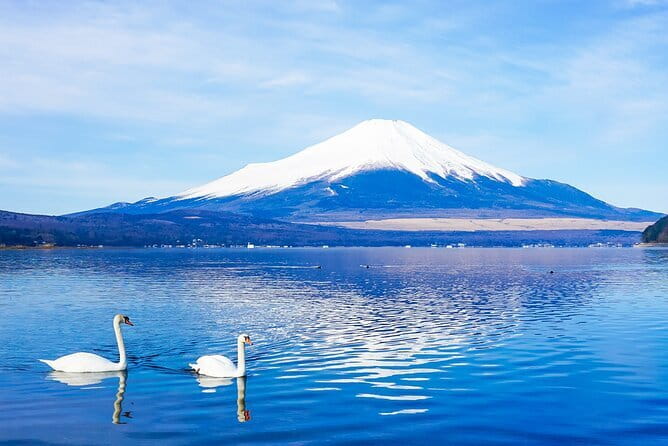 Full Day Tour at Mt. Fuji, Onsen, Lake Kawaguchi and Yamanaka - Why this Fuji-region day trip is worth considering