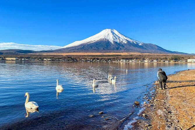 Full Day Tour at Mt. Fuji, Onsen, Lake Kawaguchi and Yamanaka - Stop 4: Lake Yamanaka for Swan Lake vibes and the onsen choice