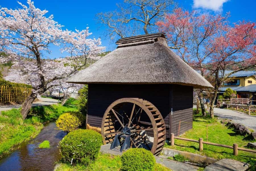 Full-Day Tour to the Picturesque Spots of Mount Fuji - Key things that make this tour worth your money