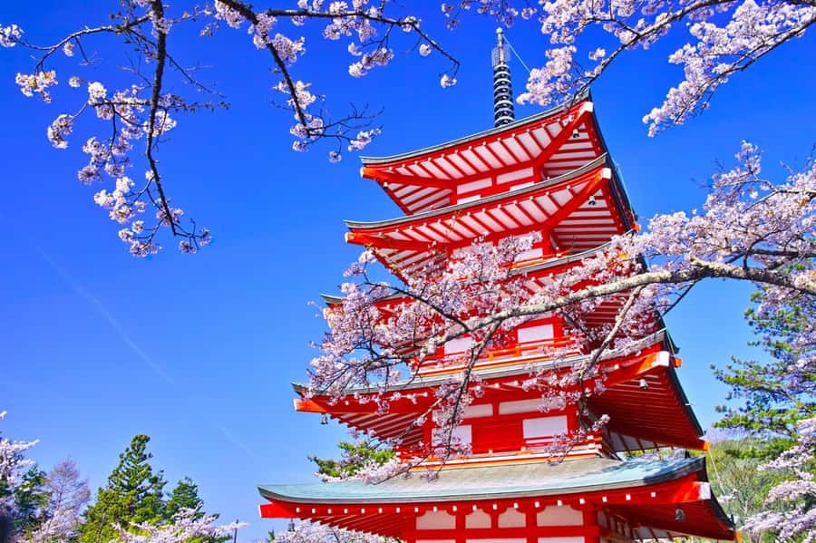 Full-Day Tour to the Picturesque Spots of Mount Fuji - Oshino Hakkai UNESCO springs: cool water and a pause from the rush