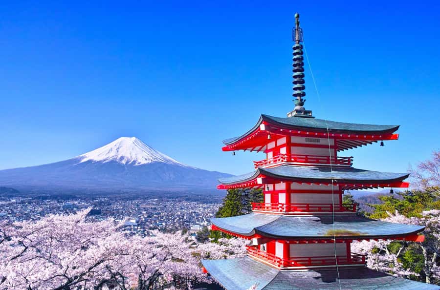 Full-Day Tour to the Picturesque Spots of Mount Fuji - Arakurayama Sengen Park, 400 steps, and the Chureito Pagoda view
