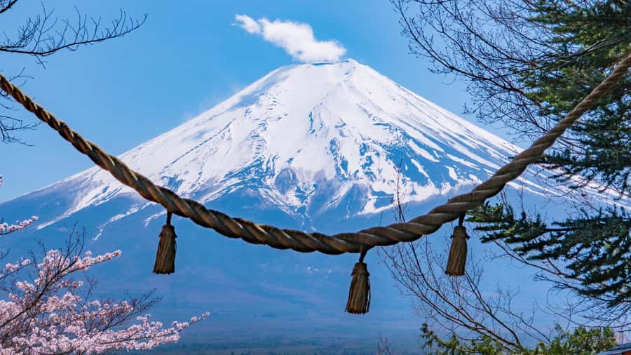 Full-Day Tour to the Picturesque Spots of Mount Fuji - Photo strategy that actually works when Fuji cooperates