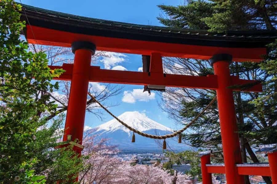 Full-Day Tour to the Picturesque Spots of Mount Fuji - Price and logistics: what $49 buys you (and what it doesn’t)