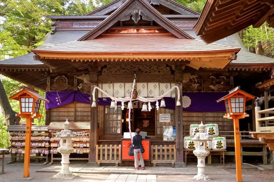 Full-Day Tour to the Picturesque Spots of Mount Fuji - Should you book it?