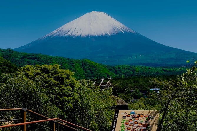Full Guided Mt. Fuji & Shiba-Sakura Festival One Day Pvt.Tour - Key highlights worth waking up early for