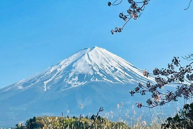 Full Guided Mt. Fuji & Shiba-Sakura Festival One Day Pvt.Tour - Stop 5: Lake Kawaguchiko for views, reflections, and time to breathe