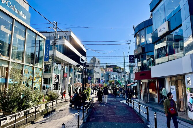 Get Unique Insights into Tokyo - Private Tour with local Guide - Odaiba: futuristic Tokyo with clear, iconic stops