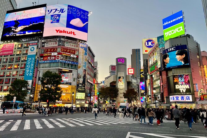 Get Unique Insights into Tokyo - Private Tour with local Guide - Price and what you actually get for about $82.90