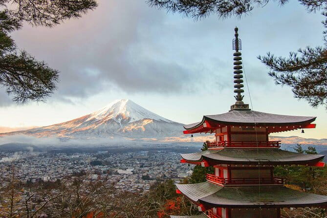 GINZA: Go Kart Experience with NEO GINZA - Driving in Japan: IDP rules and in-the-moment restrictions