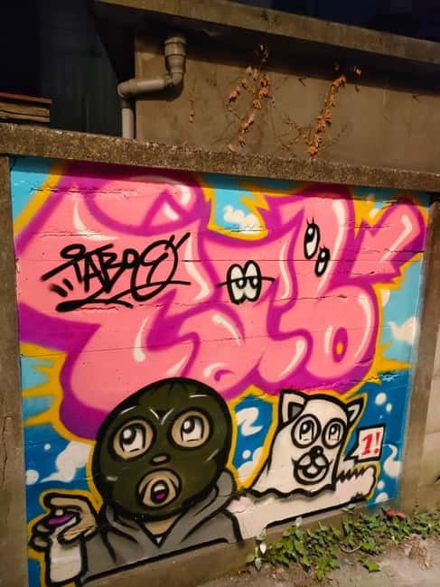 Graffiti in Tokyo Walking Tour: Shibuya and Harajuku - Why Elena Calderon (Totemo) makes this tour hit harder