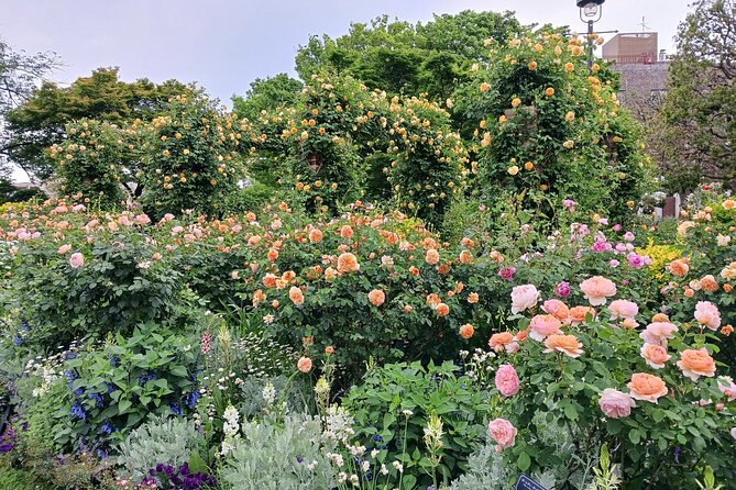 Guided History & Nature Exploration in the Yokohama Hill Area - Price and value for a guided 4-hour plan