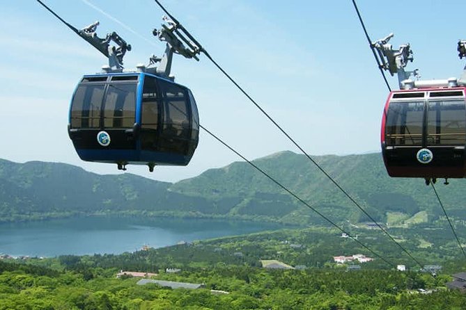 Hakone 6 hour Private Tour with Government-Licensed Guide - Should you book this Hakone private walking tour?