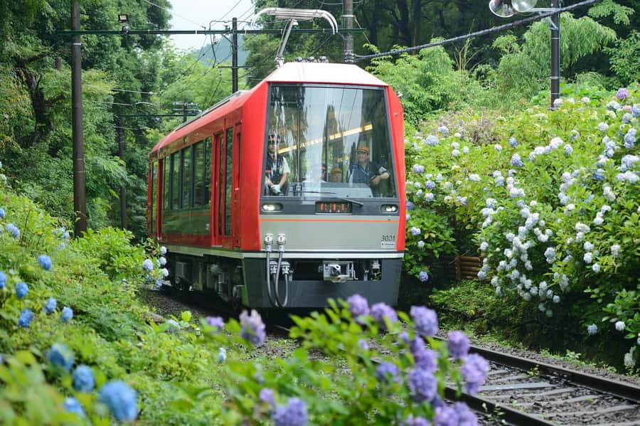 Hakone and Kamakura: 3-day Rail Pass - What This Rail Pass Covers (And What It Doesn’t)