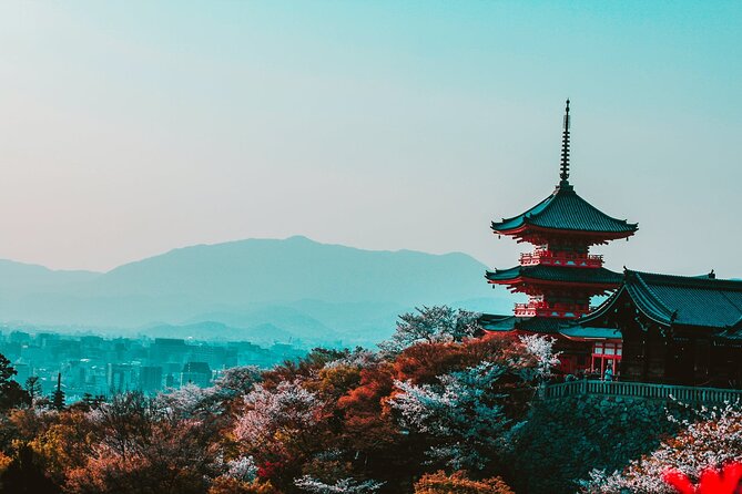 Hakone and Mt. Fuji Day Trip with Private Vehicle - Your day plan, stop by stop (and what each one does best)