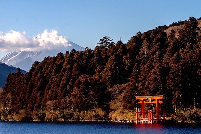 Hakone and Mt Fuji Private Custom Tour with English Guide - Private pickup and a comfortable car that changes the whole day