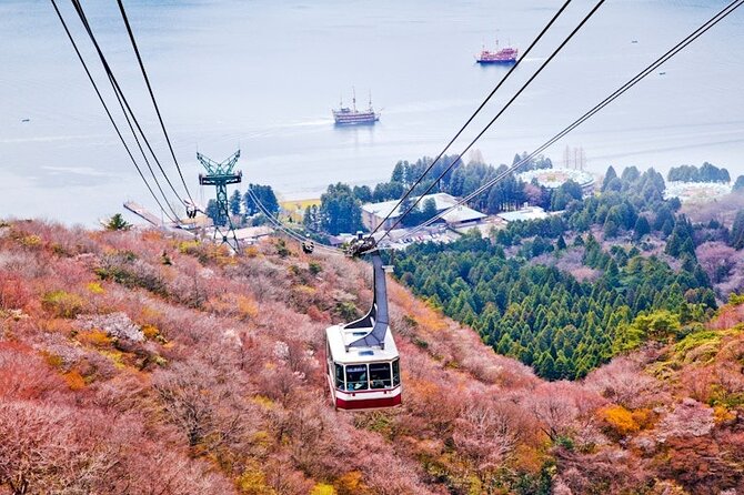 Hakone and Mt Fuji Private Custom Tour with English Guide - Saiko and Kawaguchi: Fuji Five Lakes for reflections and quiet moments
