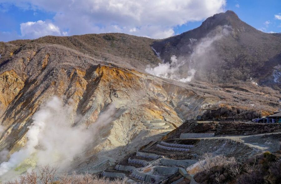 Hakone: Customizable Full Day Tour with Private Transfer - A guide is optional, but the local context can be worth it