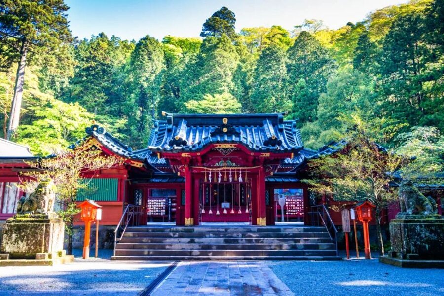 Hakone: Customizable Full Day Tour with Private Transfer - How the 10 hours usually feels when you’re not rushing