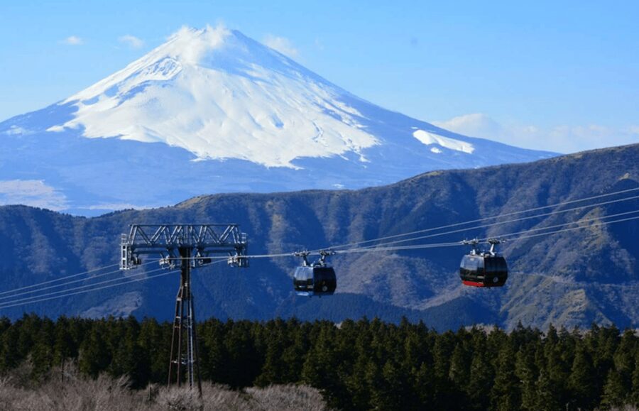 Hakone: Customizable Full Day Tour with Private Transfer - Should you book this Hakone Customizable Full Day Tour?