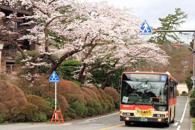 Hakone Free Pass, 2-3 Days Travel Voucher Japan - Crowd Reality Check: Queues Are Part of the Deal