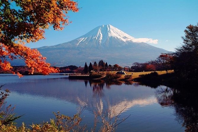 Hakone Full-Day Private Tour(Tokyo DEP.) with Government-Licensed Guide - Hakone Ropeway + Owakudani Valley: When Volcanic Steam Is the Main Event