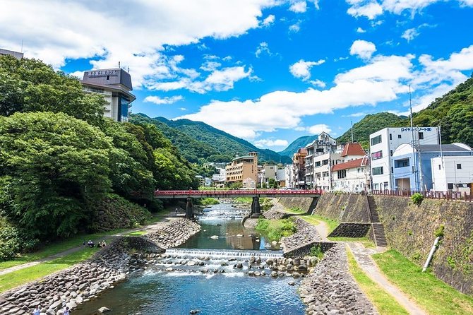 Hakone Full-Day Private Tour(Tokyo DEP.) with Government-Licensed Guide - Art Stops That Actually Shape Your Hakone Day